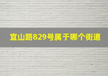 宜山路829号属于哪个街道