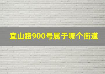 宜山路900号属于哪个街道