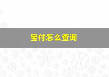 宝付怎么查询