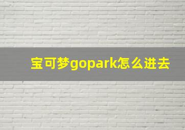 宝可梦gopark怎么进去