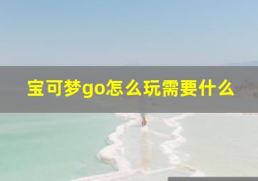 宝可梦go怎么玩需要什么