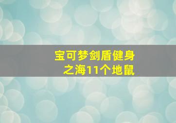 宝可梦剑盾健身之海11个地鼠