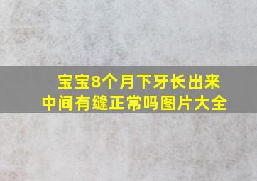 宝宝8个月下牙长出来中间有缝正常吗图片大全