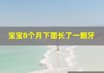 宝宝8个月下面长了一颗牙