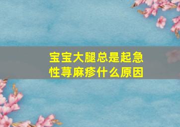 宝宝大腿总是起急性荨麻疹什么原因