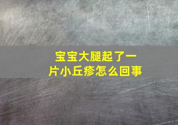 宝宝大腿起了一片小丘疹怎么回事