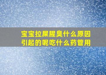 宝宝拉屎腥臭什么原因引起的呢吃什么药管用