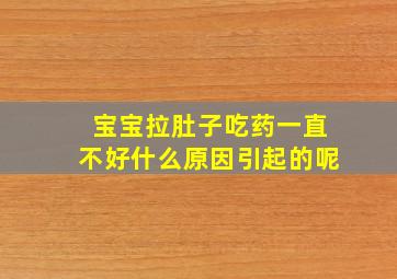 宝宝拉肚子吃药一直不好什么原因引起的呢