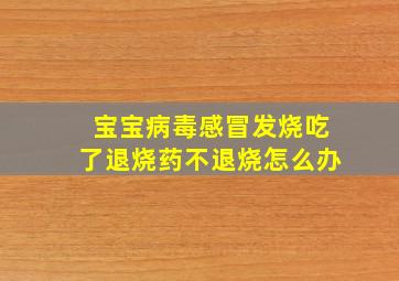 宝宝病毒感冒发烧吃了退烧药不退烧怎么办