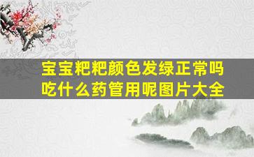 宝宝粑粑颜色发绿正常吗吃什么药管用呢图片大全