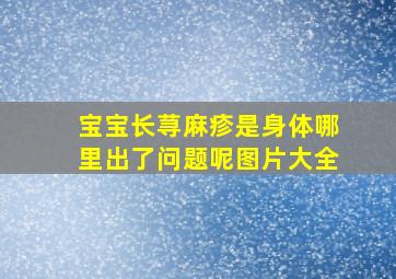 宝宝长荨麻疹是身体哪里出了问题呢图片大全