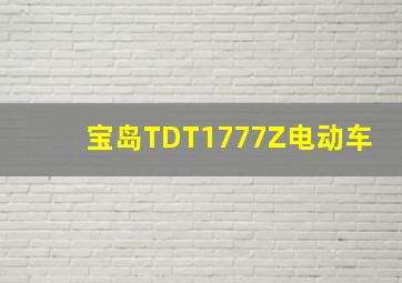 宝岛TDT1777Z电动车