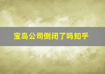 宝岛公司倒闭了吗知乎