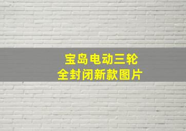 宝岛电动三轮全封闭新款图片