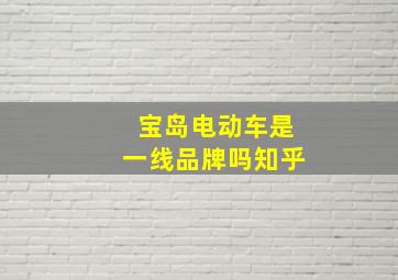 宝岛电动车是一线品牌吗知乎