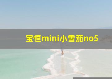 宝恒mini小雪茄no5