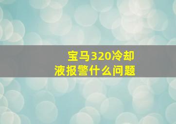 宝马320冷却液报警什么问题