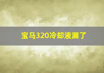 宝马320冷却液漏了