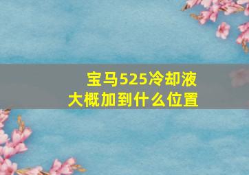 宝马525冷却液大概加到什么位置