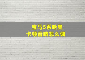 宝马5系哈曼卡顿音响怎么调