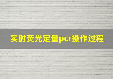 实时荧光定量pcr操作过程