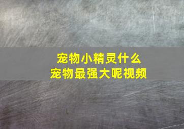 宠物小精灵什么宠物最强大呢视频