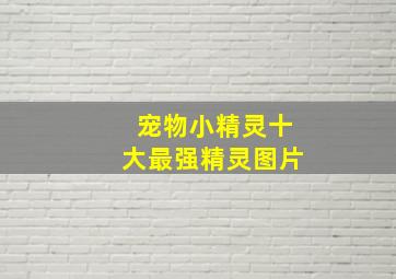 宠物小精灵十大最强精灵图片