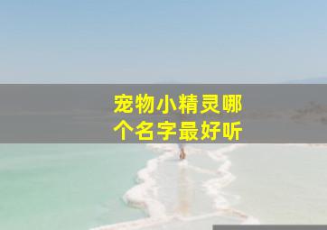 宠物小精灵哪个名字最好听