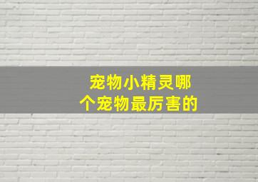 宠物小精灵哪个宠物最厉害的