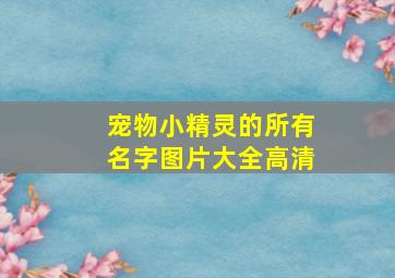 宠物小精灵的所有名字图片大全高清