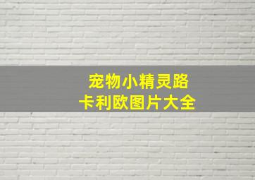 宠物小精灵路卡利欧图片大全