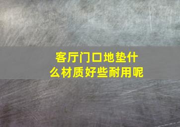 客厅门口地垫什么材质好些耐用呢