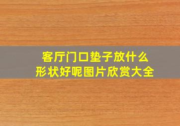 客厅门口垫子放什么形状好呢图片欣赏大全