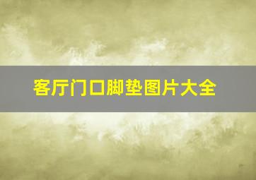 客厅门口脚垫图片大全