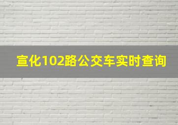 宣化102路公交车实时查询