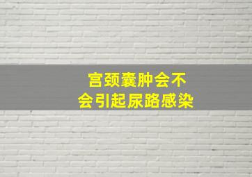 宫颈囊肿会不会引起尿路感染