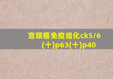 宫颈癌免疫组化ck5/6(十)p63(十)p40