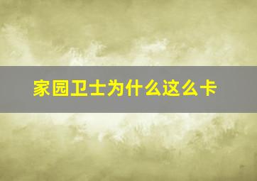 家园卫士为什么这么卡