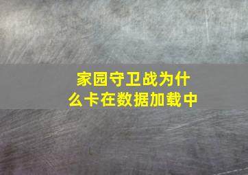 家园守卫战为什么卡在数据加载中