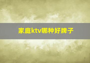 家庭ktv哪种好牌子