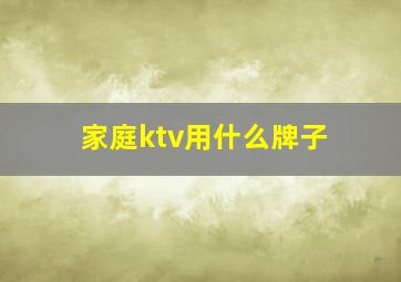 家庭ktv用什么牌子