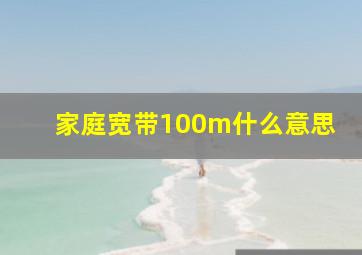 家庭宽带100m什么意思