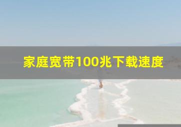 家庭宽带100兆下载速度