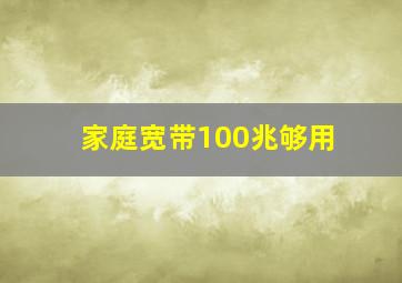 家庭宽带100兆够用