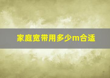 家庭宽带用多少m合适