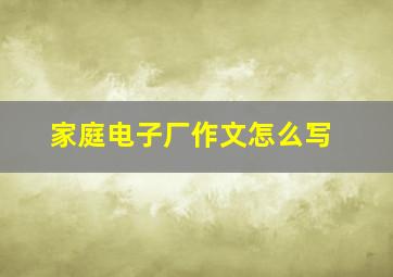 家庭电子厂作文怎么写