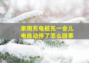 家用充电桩充一会儿电自动停了怎么回事