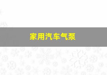 家用汽车气泵