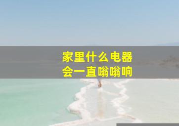 家里什么电器会一直嗡嗡响