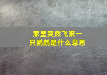 家里突然飞来一只鹦鹉是什么意思